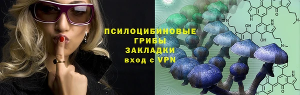амф Алзамай