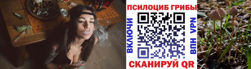 что такое наркотик  мориарти какой сайт  Галлюциногенные грибы ЛСД  Наволоки 